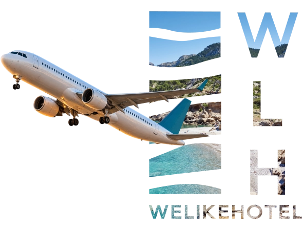 logo welike y avión