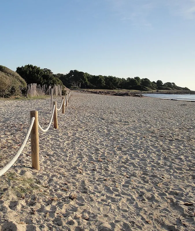 Zona natural de la playa de Sa Coma Welikehotel