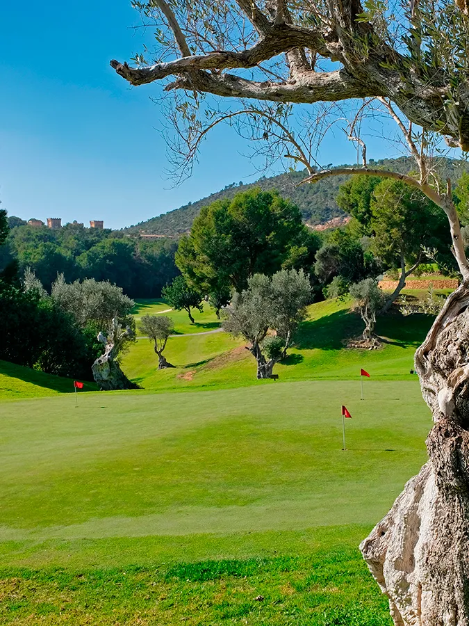 Campo de golf Golf Bendinat en Mallorca Welikehotel Triton Beach